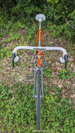 De Rosa Orange_04.jpg