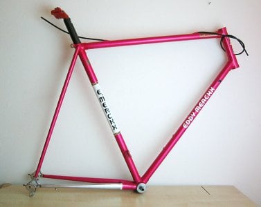 merckx_01.jpg