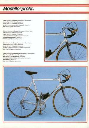 moser cat 4.jpg