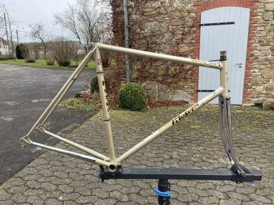 Moser, Francseco telaio bici corsa d'epoca champagner (1).jpeg