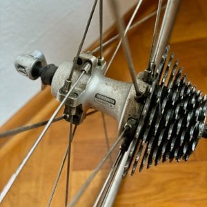 shimano_HR - 1.jpeg