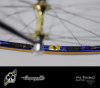 ColnagoGold_4.jpg