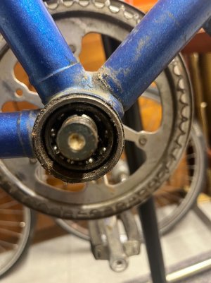 IMG_2887.jpeg