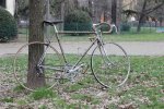 ortelli 1954 bici.jpg