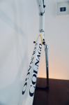 colnago 4.png