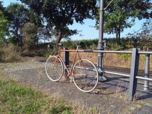 Romani Rennrad am  Wasserkran des Haltepunktes Stahe - Kopie.jpg