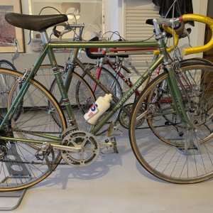 Sedazzari bici corsa special (1).jpg