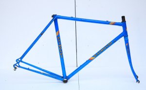 A...Raimondi frame (3).jpg