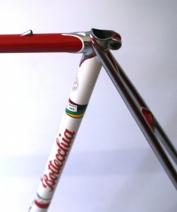 Bottecchia TSX_03.jpg