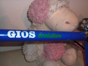 Gios 18 Kaufzustand.JPG