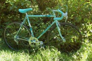 bianchi fertig.JPG