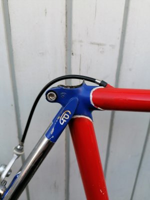 Pinarello3.JPG