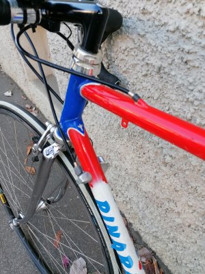 Pinarello5.JPG