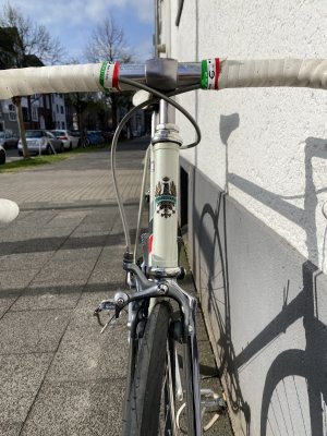 Bianchi 2.jpg