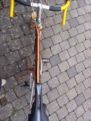 Rennrad für Herren-02.JPG