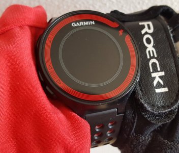 Garmin Forerunner 220.jpg