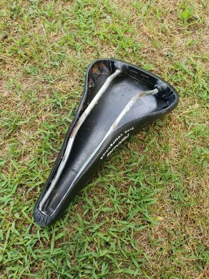 PERACHE TYPE COMPETITION saddle selle sella sellino Sattel (4).jpg