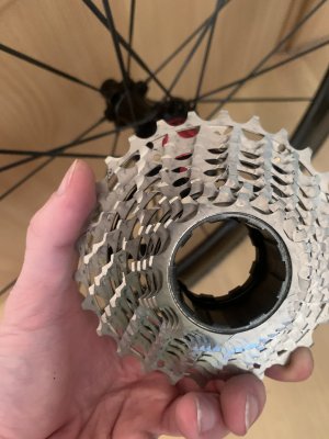 3B636616-E257-43F3-A7C1-856148494C9C.jpeg