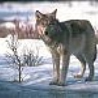 Wolf Jackskin