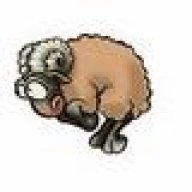 widder