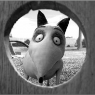 Sparky - a Frankenweenie