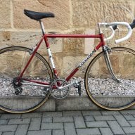 colnago95444