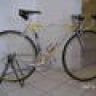 Colnago Altain