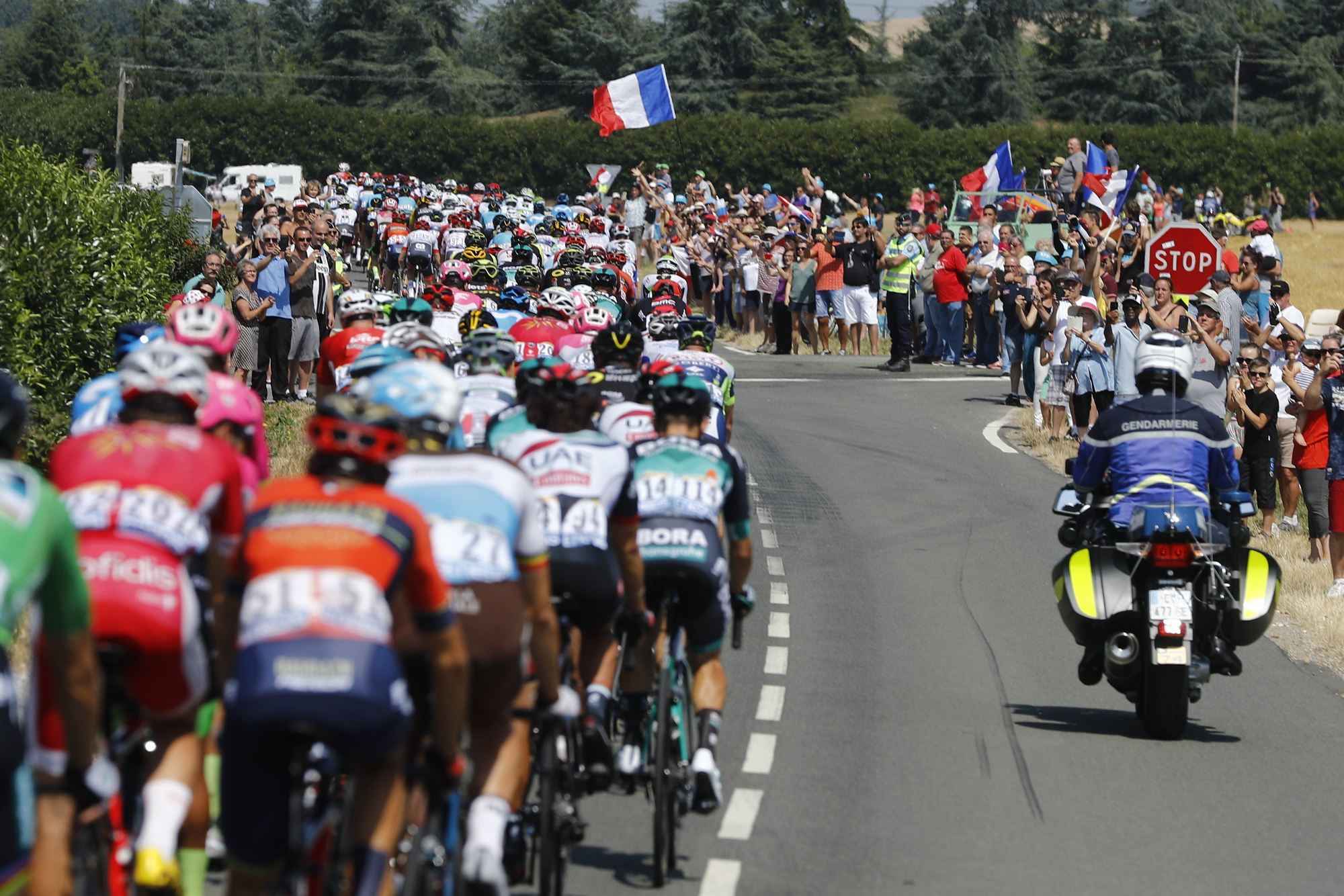 Tour de France 2018: Tony  Martin zeigt Video vom Sturz vor dem Tour-Aus