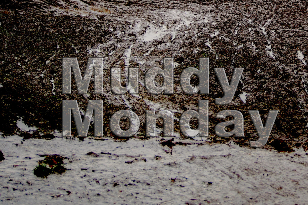 Muddy Monday – das Gravel- und CX-Wochenende: Radprofis auf Bikepacking-Trip