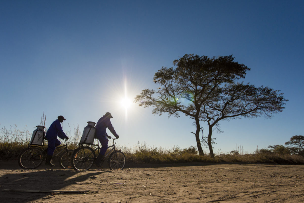 World Bicycle Day 2019: Übersicht über die Initiativen – Räder spenden und Radfahren