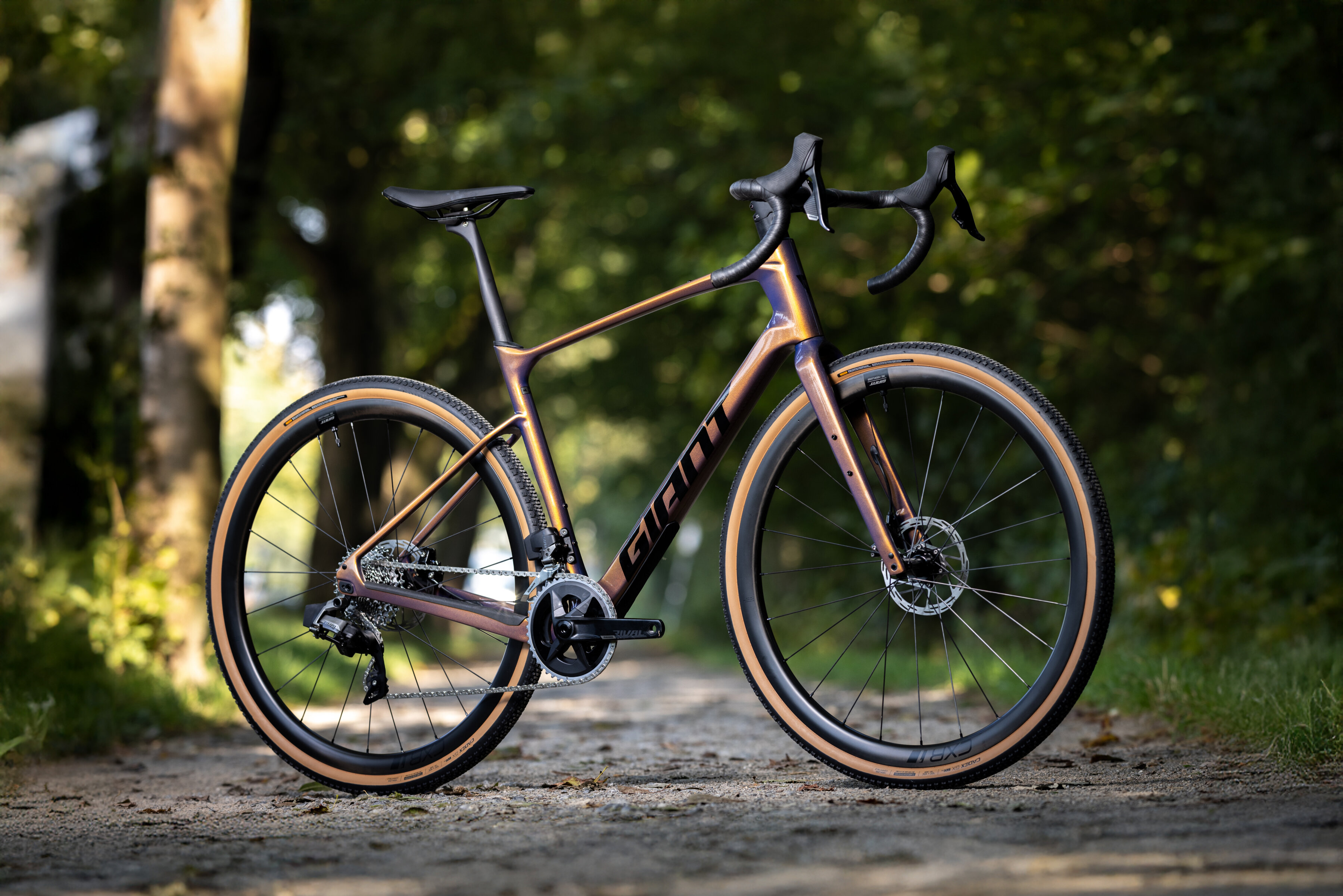 Giant-Revolt-Advanced-Pro-1-Test-Anspruch-auf-die-Gravel-Allrounder-Krone